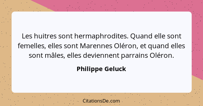 Les huitres sont hermaphrodites. Quand elle sont femelles, elles sont Marennes Oléron, et quand elles sont mâles, elles deviennent p... - Philippe Geluck