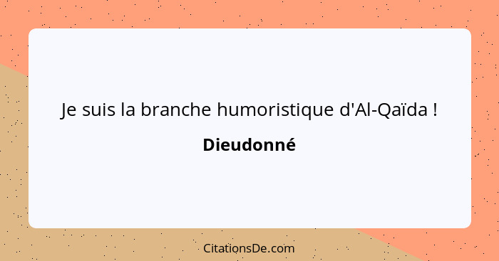 Je suis la branche humoristique d'Al-Qaïda !... - Dieudonné