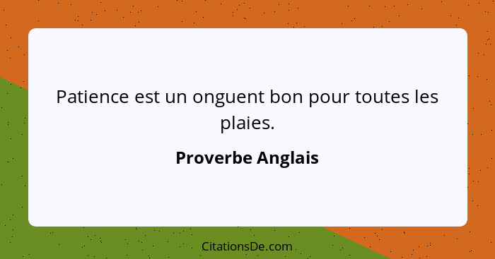 Patience est un onguent bon pour toutes les plaies.... - Proverbe Anglais