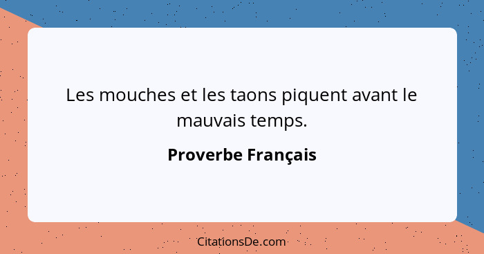 Les mouches et les taons piquent avant le mauvais temps.... - Proverbe Français