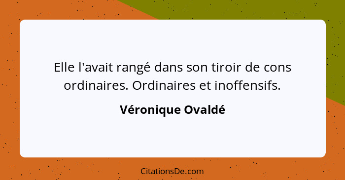 Elle l'avait rangé dans son tiroir de cons ordinaires. Ordinaires et inoffensifs.... - Véronique Ovaldé