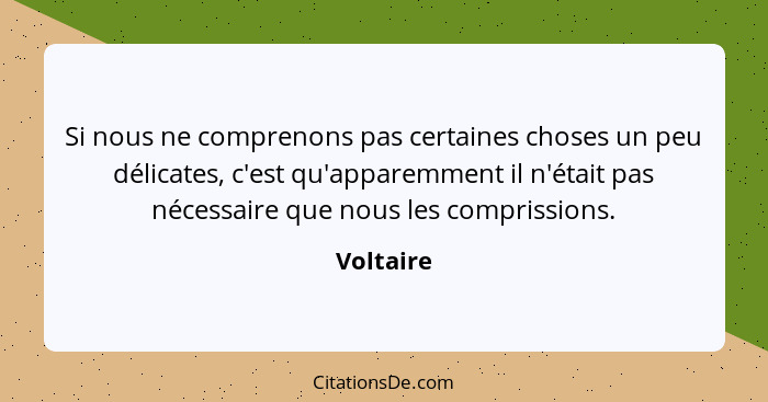 Si nous ne comprenons pas certaines choses un peu délicates, c'est qu'apparemment il n'était pas nécessaire que nous les comprissions.... - Voltaire