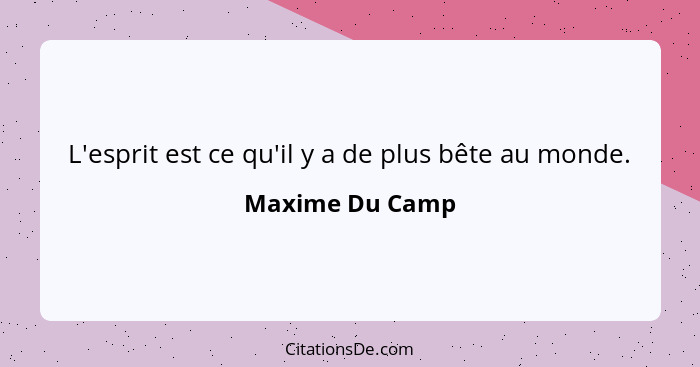 L'esprit est ce qu'il y a de plus bête au monde.... - Maxime Du Camp