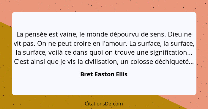 La pensée est vaine, le monde dépourvu de sens. Dieu ne vit pas. On ne peut croire en l'amour. La surface, la surface, la surface,... - Bret Easton Ellis