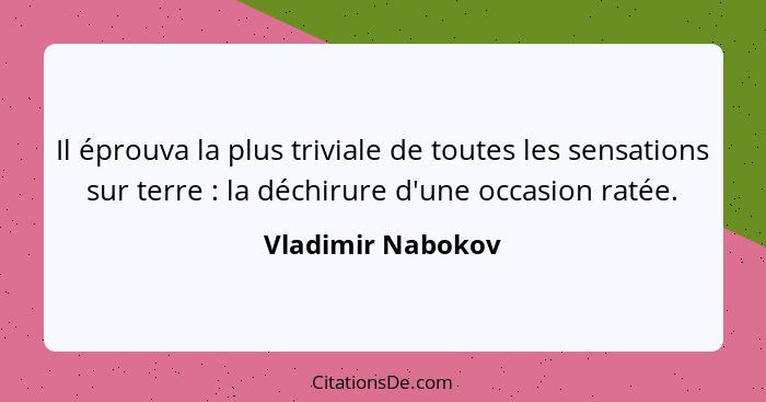 Il éprouva la plus triviale de toutes les sensations sur terre : la déchirure d'une occasion ratée.... - Vladimir Nabokov