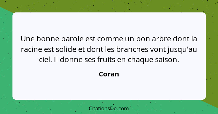 Une bonne parole est comme un bon arbre dont la racine est solide et dont les branches vont jusqu'au ciel. Il donne ses fruits en chaque saiso... - Coran