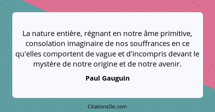 La nature entière, régnant en notre âme primitive, consolation imaginaire de nos souffrances en ce qu'elles comportent de vague et d'in... - Paul Gauguin