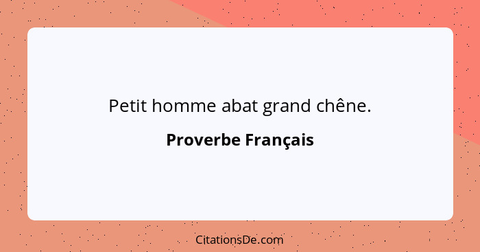 Petit homme abat grand chêne.... - Proverbe Français