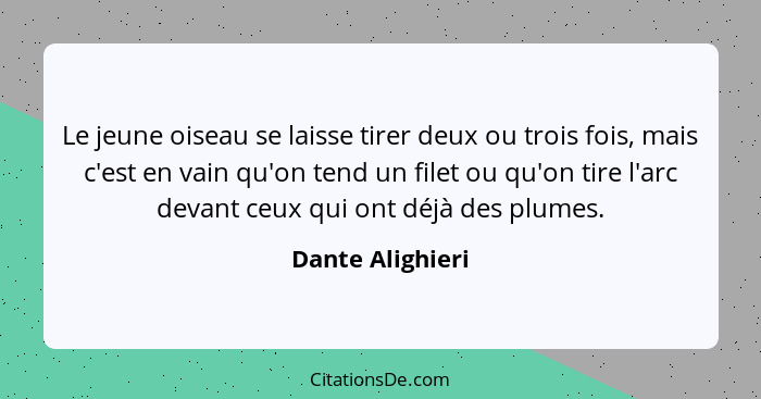 Le jeune oiseau se laisse tirer deux ou trois fois, mais c'est en vain qu'on tend un filet ou qu'on tire l'arc devant ceux qui ont d... - Dante Alighieri