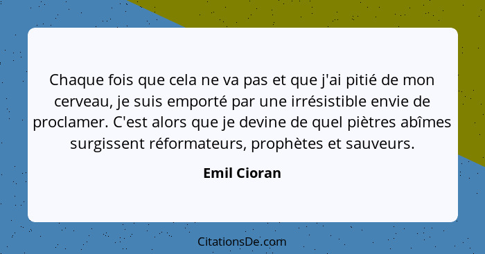 Chaque fois que cela ne va pas et que j'ai pitié de mon cerveau, je suis emporté par une irrésistible envie de proclamer. C'est alors qu... - Emil Cioran