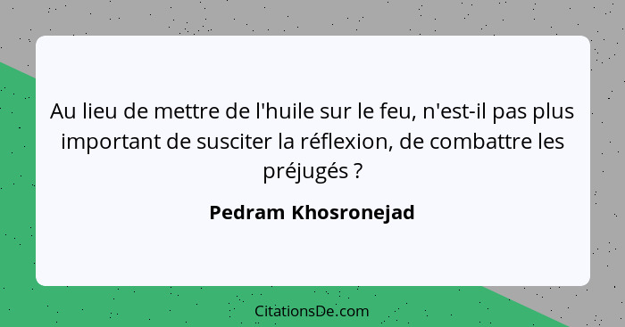 Au lieu de mettre de l'huile sur le feu, n'est-il pas plus important de susciter la réflexion, de combattre les préjugés ?... - Pedram Khosronejad