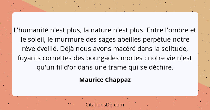 L'humanité n'est plus, la nature n'est plus. Entre l'ombre et le soleil, le murmure des sages abeilles perpétue notre rêve éveillé.... - Maurice Chappaz