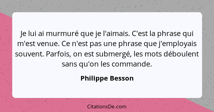 Je lui ai murmuré que je l'aimais. C'est la phrase qui m'est venue. Ce n'est pas une phrase que j'employais souvent. Parfois, on est... - Philippe Besson