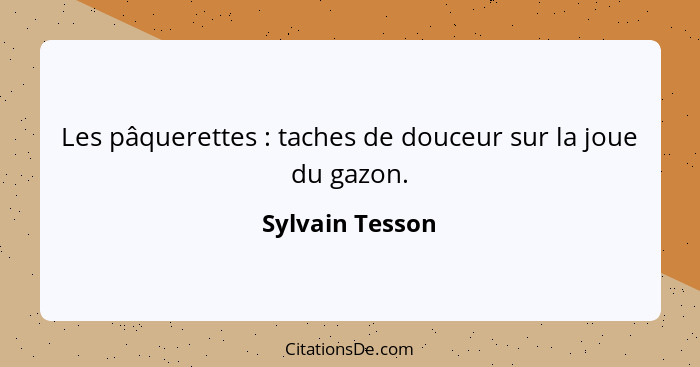 Les pâquerettes : taches de douceur sur la joue du gazon.... - Sylvain Tesson