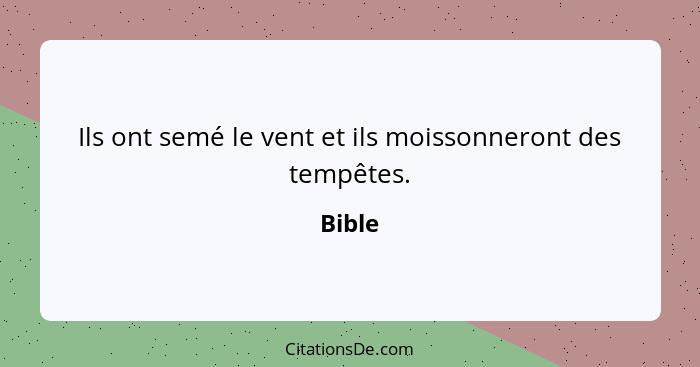 Ils ont semé le vent et ils moissonneront des tempêtes.... - Bible