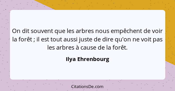 On dit souvent que les arbres nous empêchent de voir la forêt ; il est tout aussi juste de dire qu'on ne voit pas les arbres à... - Ilya Ehrenbourg