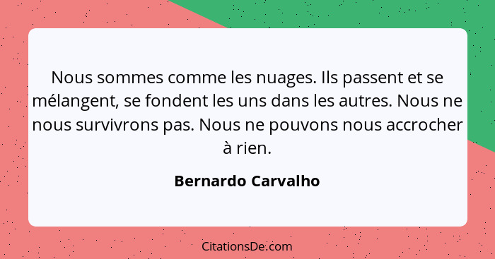 Nous sommes comme les nuages. Ils passent et se mélangent, se fondent les uns dans les autres. Nous ne nous survivrons pas. Nous n... - Bernardo Carvalho