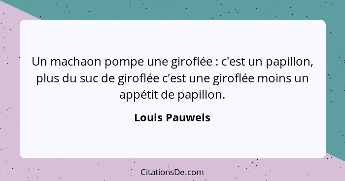 Un machaon pompe une giroflée : c'est un papillon, plus du suc de giroflée c'est une giroflée moins un appétit de papillon.... - Louis Pauwels