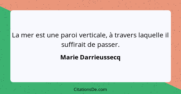 La mer est une paroi verticale, à travers laquelle il suffirait de passer.... - Marie Darrieussecq