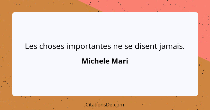 Les choses importantes ne se disent jamais.... - Michele Mari