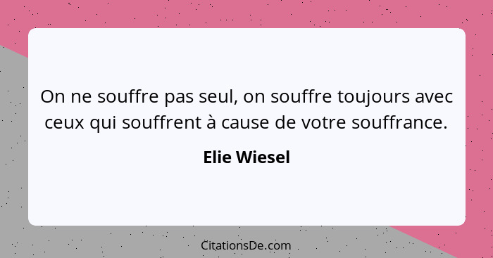 On ne souffre pas seul, on souffre toujours avec ceux qui souffrent à cause de votre souffrance.... - Elie Wiesel