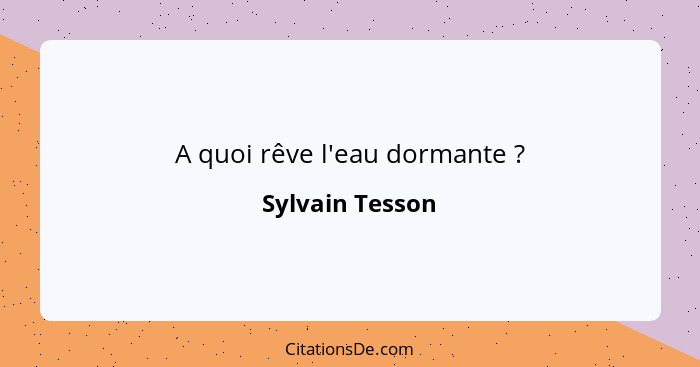 A quoi rêve l'eau dormante ?... - Sylvain Tesson