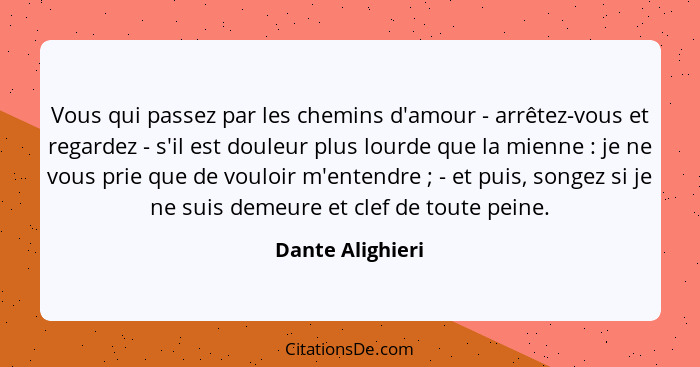 Vous qui passez par les chemins d'amour - arrêtez-vous et regardez - s'il est douleur plus lourde que la mienne : je ne vous pr... - Dante Alighieri