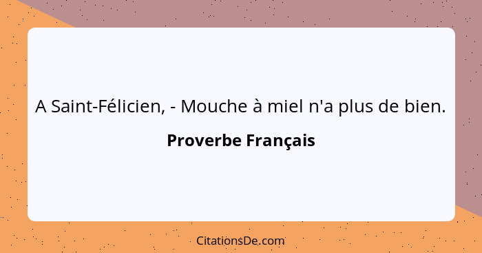 A Saint-Félicien, - Mouche à miel n'a plus de bien.... - Proverbe Français