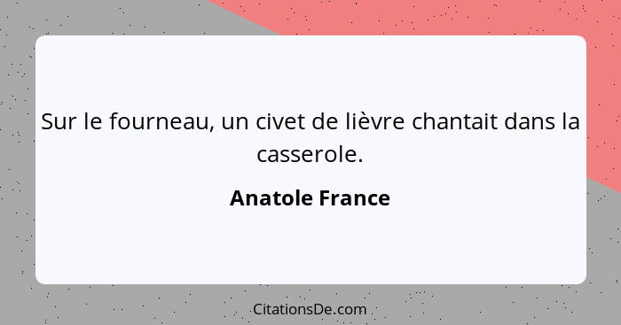 Sur le fourneau, un civet de lièvre chantait dans la casserole.... - Anatole France