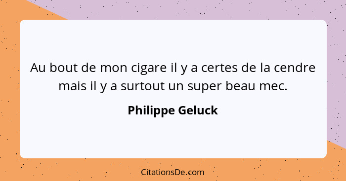 Au bout de mon cigare il y a certes de la cendre mais il y a surtout un super beau mec.... - Philippe Geluck