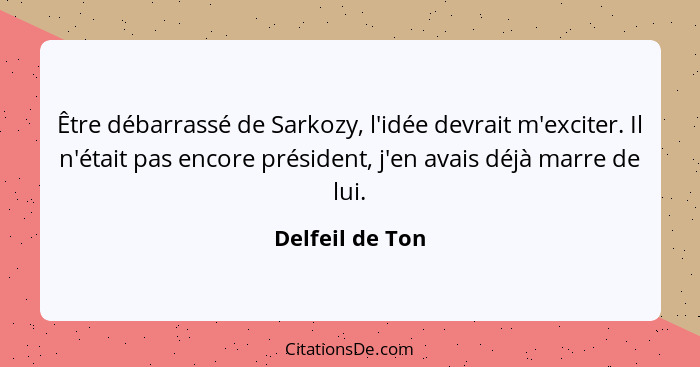 Être débarrassé de Sarkozy, l'idée devrait m'exciter. Il n'était pas encore président, j'en avais déjà marre de lui.... - Delfeil de Ton