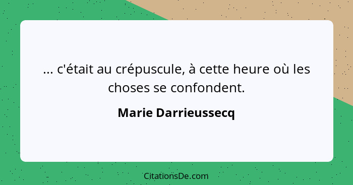 ... c'était au crépuscule, à cette heure où les choses se confondent.... - Marie Darrieussecq