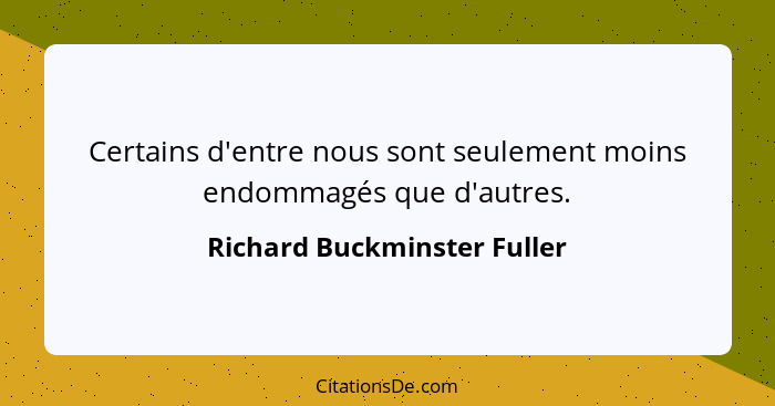 Certains d'entre nous sont seulement moins endommagés que d'autres.... - Richard Buckminster Fuller