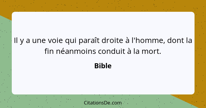 Il y a une voie qui paraît droite à l'homme, dont la fin néanmoins conduit à la mort.... - Bible