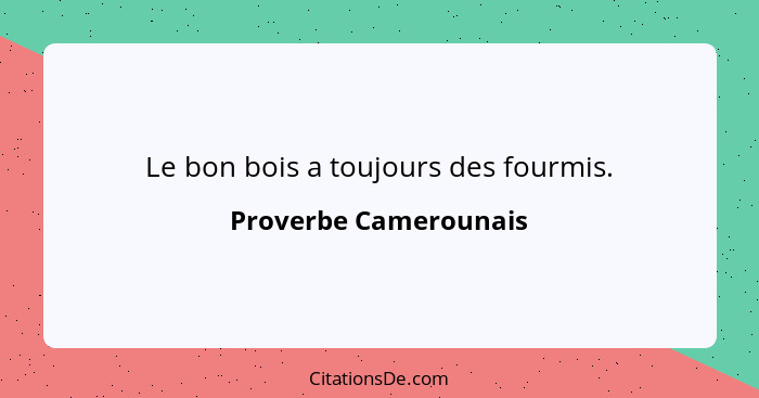 Le bon bois a toujours des fourmis.... - Proverbe Camerounais