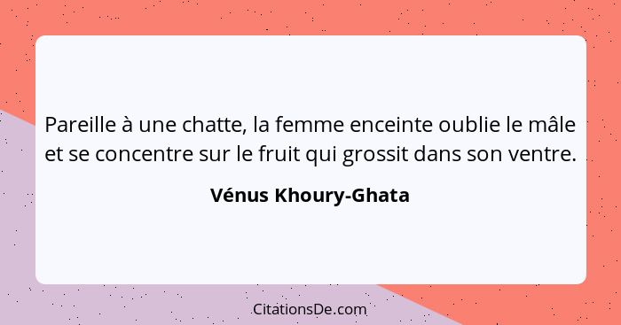 Pareille à une chatte, la femme enceinte oublie le mâle et se concentre sur le fruit qui grossit dans son ventre.... - Vénus Khoury-Ghata