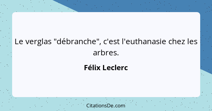 Le verglas "débranche", c'est l'euthanasie chez les arbres.... - Félix Leclerc