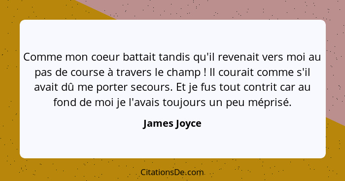 Comme mon coeur battait tandis qu'il revenait vers moi au pas de course à travers le champ ! Il courait comme s'il avait dû me port... - James Joyce