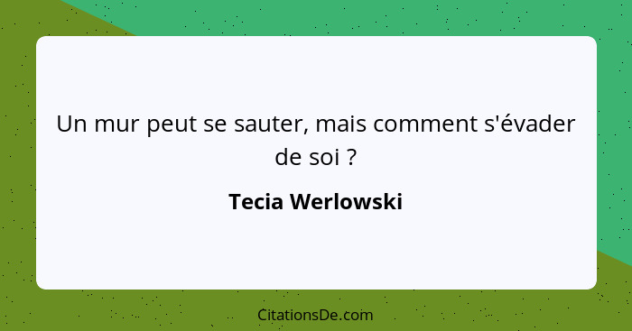 Un mur peut se sauter, mais comment s'évader de soi ?... - Tecia Werlowski