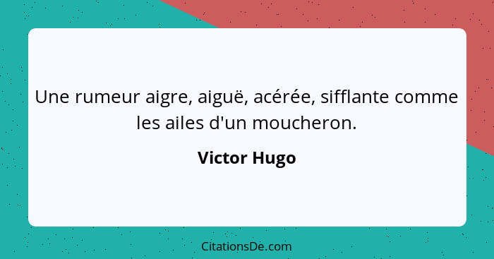 Une rumeur aigre, aiguë, acérée, sifflante comme les ailes d'un moucheron.... - Victor Hugo