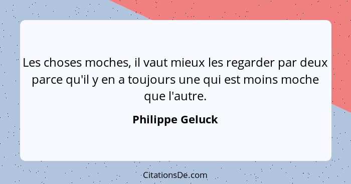 Les choses moches, il vaut mieux les regarder par deux parce qu'il y en a toujours une qui est moins moche que l'autre.... - Philippe Geluck