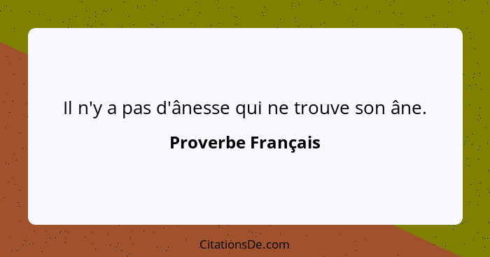 Il n'y a pas d'ânesse qui ne trouve son âne.... - Proverbe Français