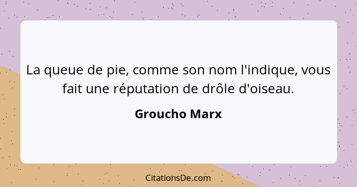 La queue de pie, comme son nom l'indique, vous fait une réputation de drôle d'oiseau.... - Groucho Marx