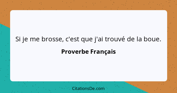 Si je me brosse, c'est que j'ai trouvé de la boue.... - Proverbe Français