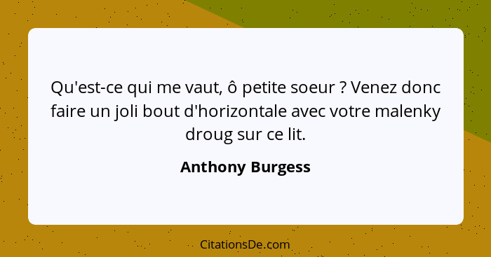 Qu'est-ce qui me vaut, ô petite soeur ? Venez donc faire un joli bout d'horizontale avec votre malenky droug sur ce lit.... - Anthony Burgess