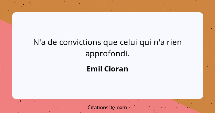 N'a de convictions que celui qui n'a rien approfondi.... - Emil Cioran