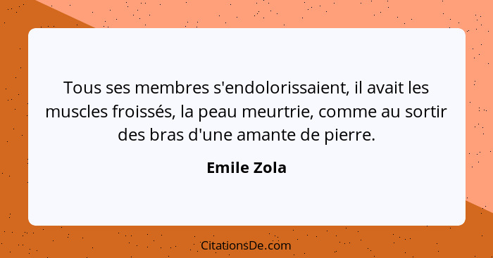 Tous ses membres s'endolorissaient, il avait les muscles froissés, la peau meurtrie, comme au sortir des bras d'une amante de pierre.... - Emile Zola