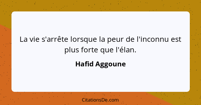 La vie s'arrête lorsque la peur de l'inconnu est plus forte que l'élan.... - Hafid Aggoune