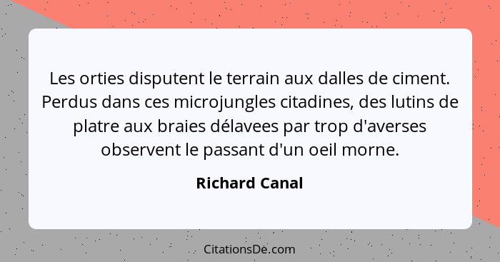 Les orties disputent le terrain aux dalles de ciment. Perdus dans ces microjungles citadines, des lutins de platre aux braies délavees... - Richard Canal