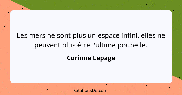 Les mers ne sont plus un espace infini, elles ne peuvent plus être l'ultime poubelle.... - Corinne Lepage